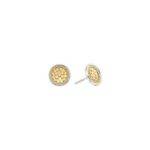 ANNA BECK Dish Stud Earrings - Gold